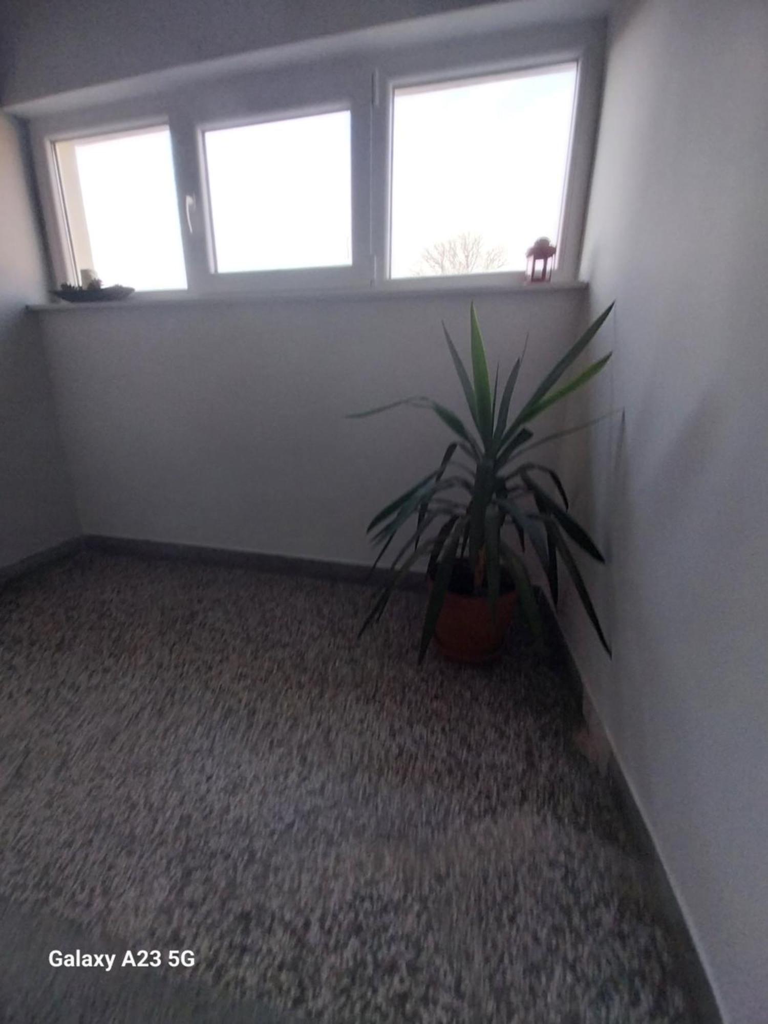 Apartman Bloom Osijek Zewnętrze zdjęcie